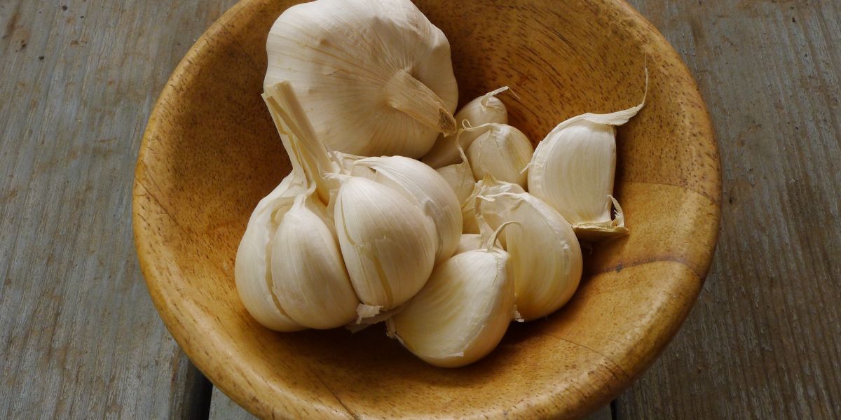 garlic